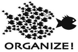 organize