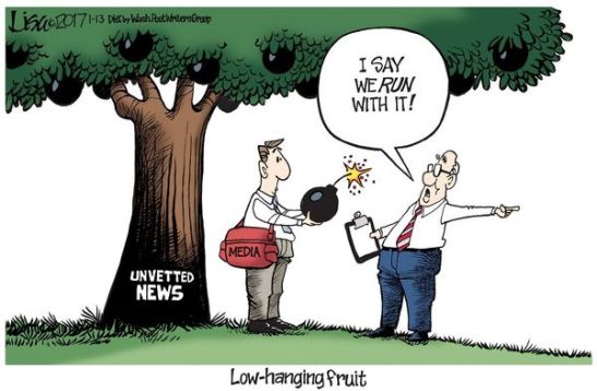 2017-01-13-4a735ecf_large