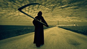 jasperandsardinedotwordpressdotcom