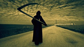 jasperandsardinedotwordpressdotcom