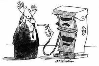 transitionculturedotorg